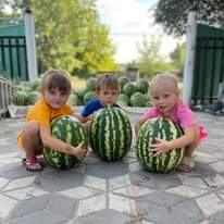 На зображенні може бути: 3 людини та кавун